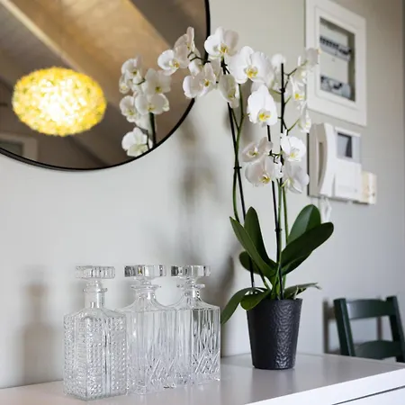 Domus Αργοστόλι